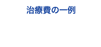 詰め物：60,000円〜 被せ：100,000円〜